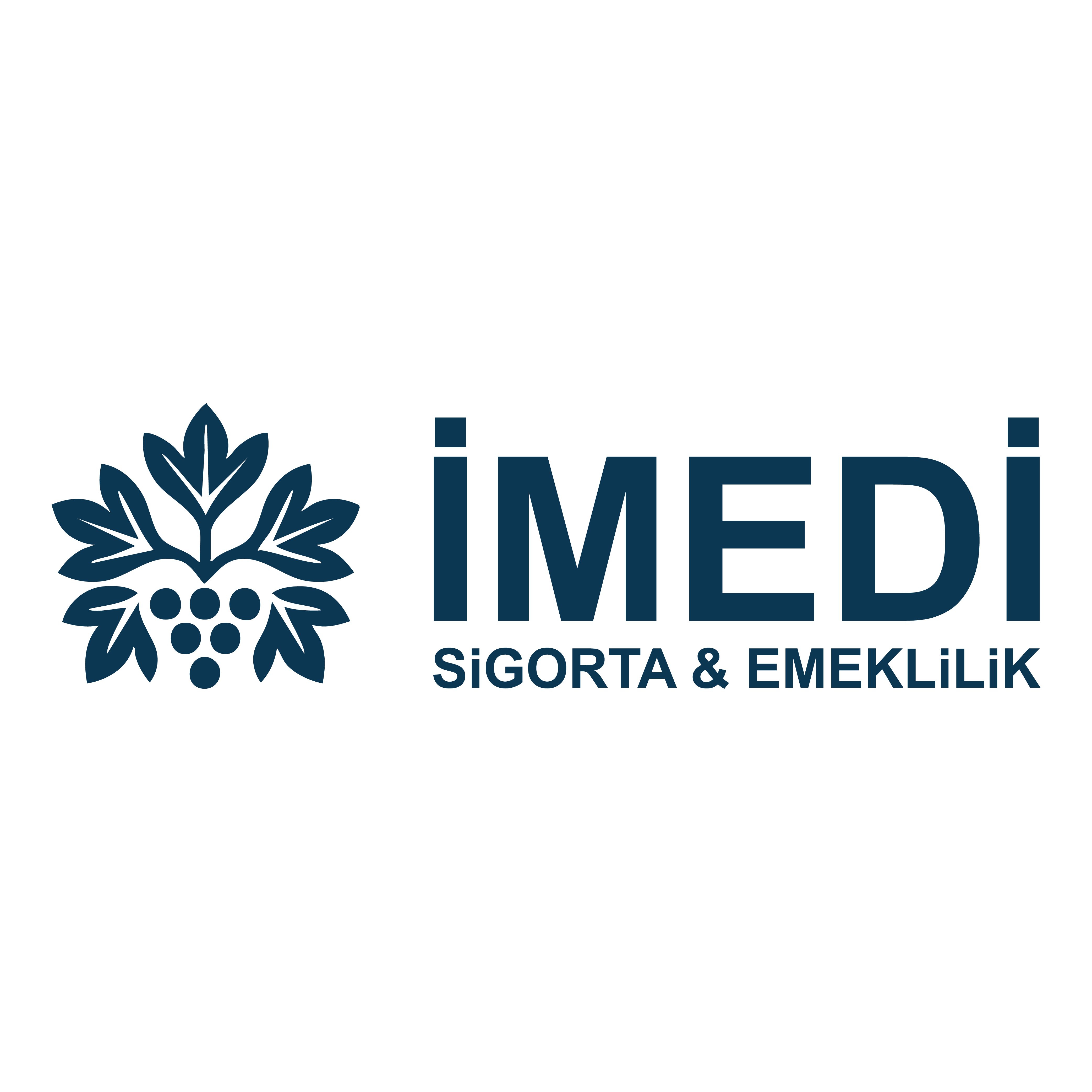 İmedi Logo